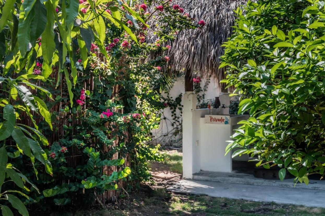 Zoah Surf Boutique Hotel, El Paredon El Paredón Buena Vista Exteriér fotografie